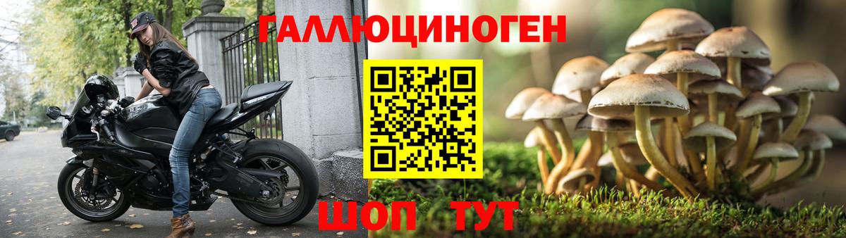 Галлюциногенные грибы Cubensis  Галлюциногенные грибы ЛСД  Тихвин  Вход с VPN 